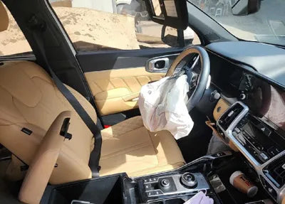 2022 Kia Sorento KNARL81GBNA063486 VIN:KNARL81GBNA063486