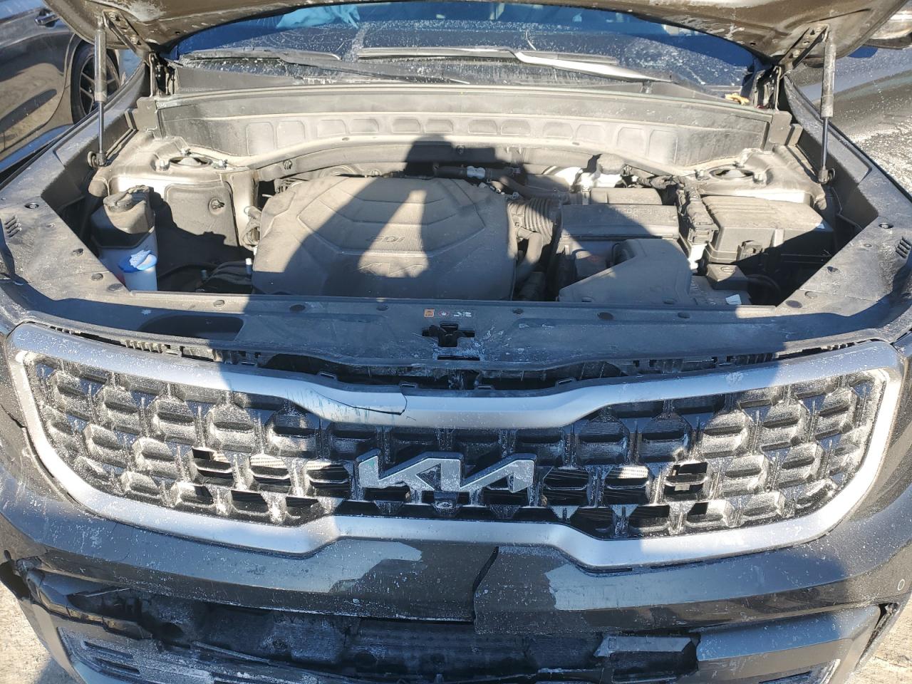 2023 KIA TELLURIDE SX VIN:5XYP5DGC9PG326343