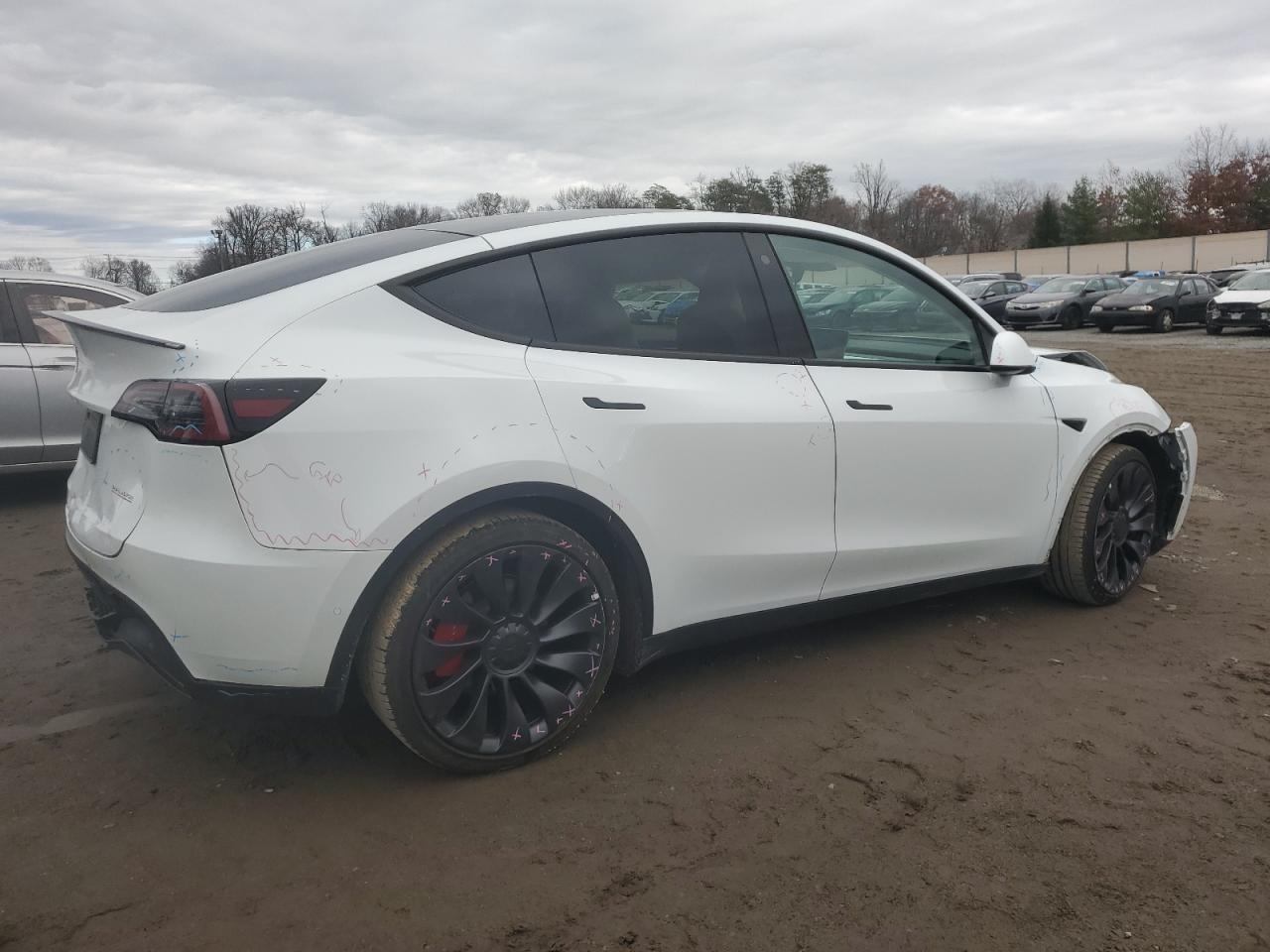 2023 TESLA MODEL Y  VIN:7SAYGDEF3PF589773
