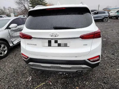 2019 Hyundai Santa FE KMHS581CBKU116989 VIN:KMHS581CBKU116989