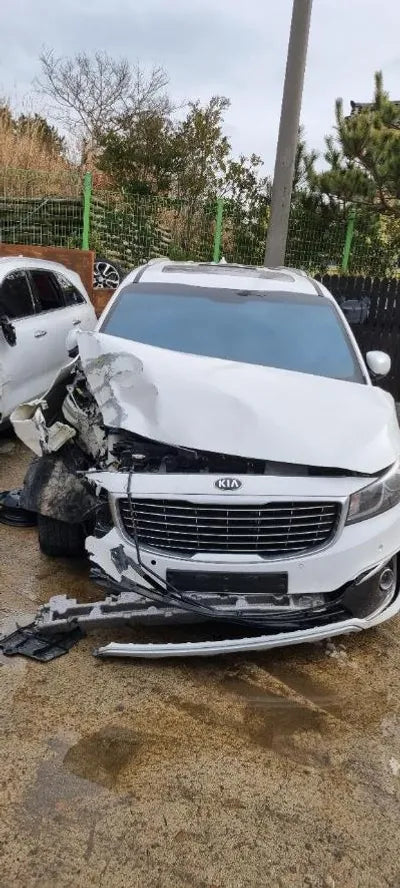 2017 Kia Carnival KNAMC81ABHS307601 VIN:KNAMC81ABHS307601