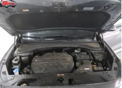 2020 Hyundai Santa FE 193KMKMHS281BBLU3 VIN:193KMKMHS281BBLU3