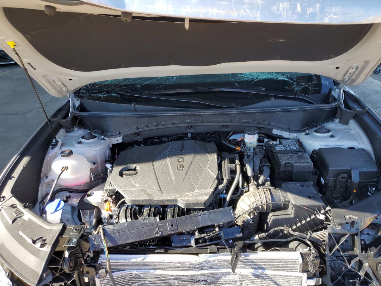 2024 HYUNDAI TUCSON LIMITED VIN:5NMJECDE5RH389762