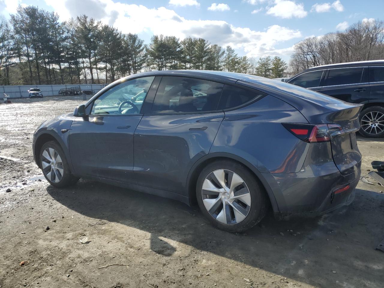 2023 TESLA MODEL Y  VIN:7SAYGDEE1PF842242