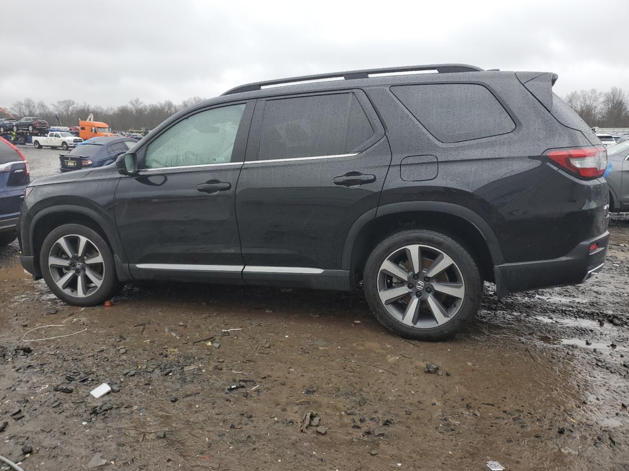 2023 HONDA PILOT ELITE VIN:5FNYG1H84PB042259