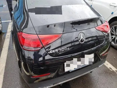 2020 Mercedes-Benz CLS 300 WDD2J1JB5LA054409 VIN:WDD2J1JB5LA054409