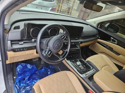 2020 Kia Carnival KNANC81BBMS004429 VIN:KNANC81BBMS004429