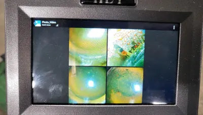 2020 Mercedes-Benz C 200 W1KWF8AB6LR568864 VIN:W1KWF8AB6LR568864