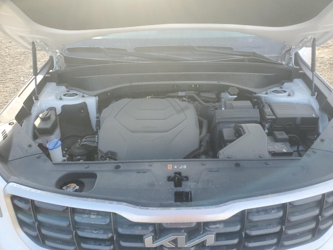 2023 KIA TELLURIDE SX VIN:5XYP5DGC7PG329497