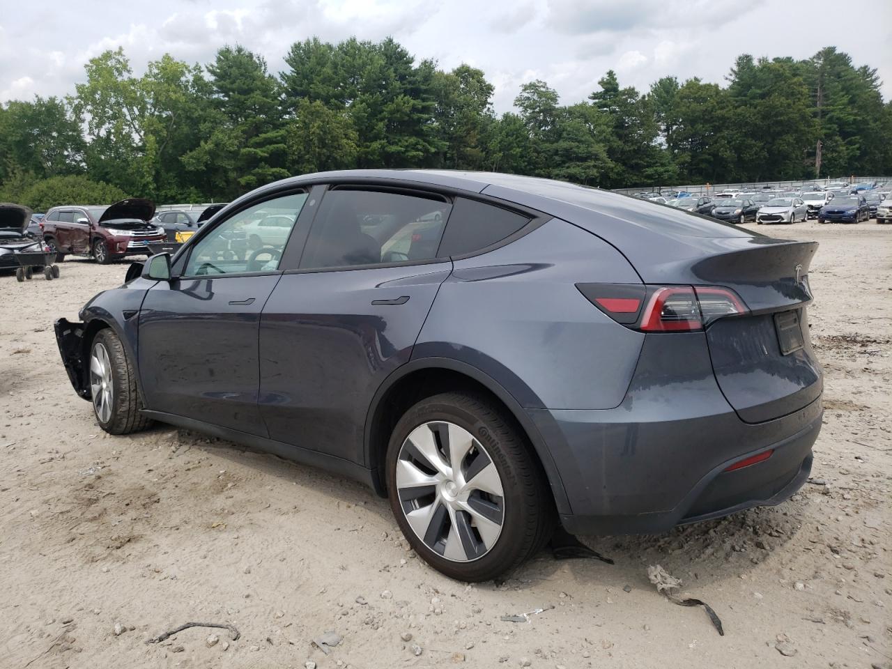 2023 TESLA MODEL Y  VIN:7SAYGAEE2PF618816