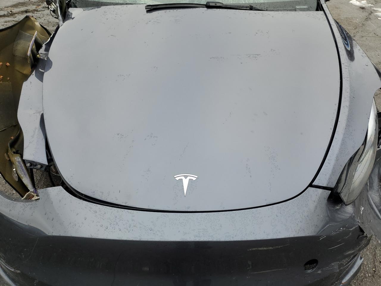 2023 TESLA MODEL Y  VIN:7SAYGDEFXPF698487