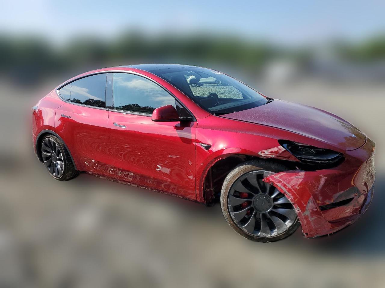 2024 TESLA MODEL Y  VIN:7SAYGDEF6RA264549