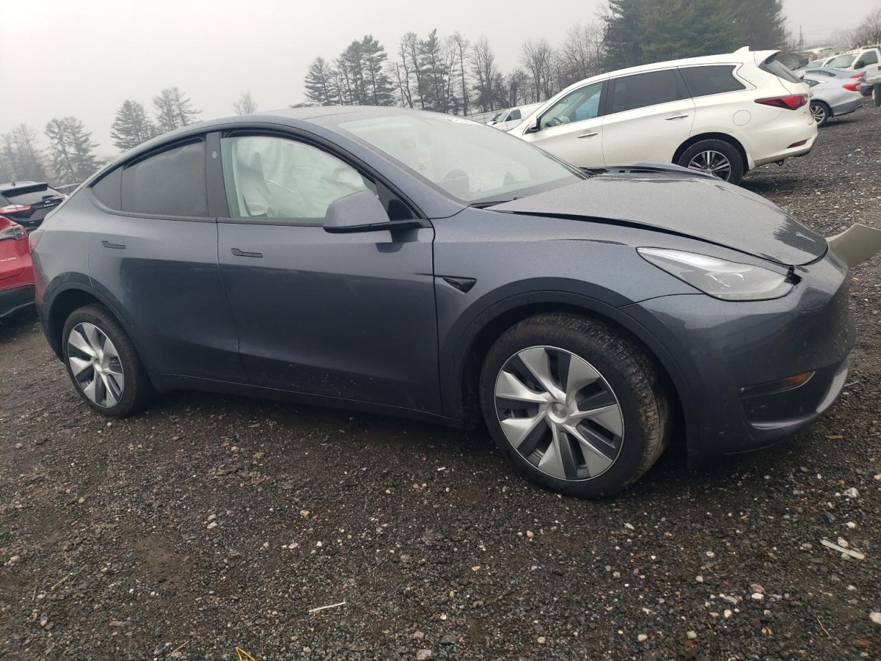 2023 TESLA MODEL Y  VIN:7SAYGDEE3PA203552