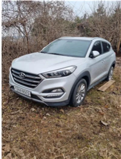 2016 Hyundai Tucson KMHJ381ADGU176392 VIN:KMHJ381ADGU176392