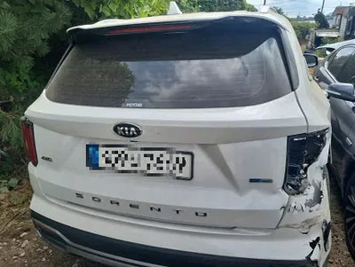2021 Kia Sorento KNARK81GDMA000615 VIN:KNARK81GDMA000615