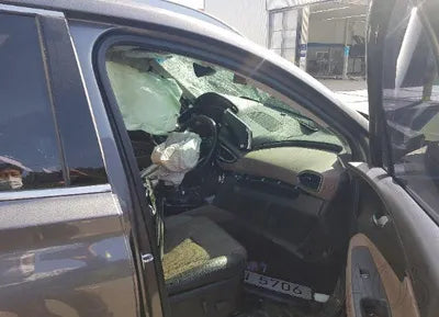 2019 Hyundai Santa FE KMHS381BDKU173046 VIN:KMHS381BDKU173046