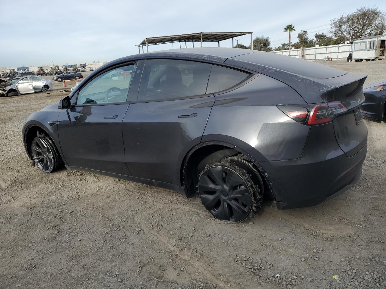 2024 TESLA MODEL Y  VIN:7SAYGDED7RF114483