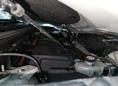 2019 Toyota RAV4 VIN: