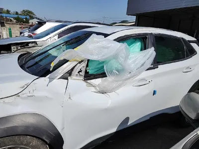 2020 Hyundai Kona KMHK4815GLU534326 VIN:KMHK4815GLU534326