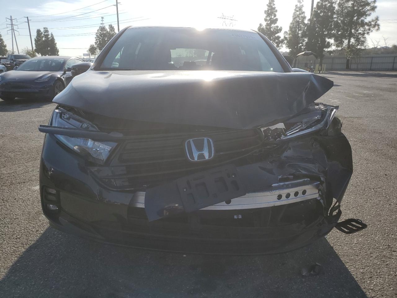 2024 HONDA ODYSSEY SPORT VIN:5FNRL6H77RB003415