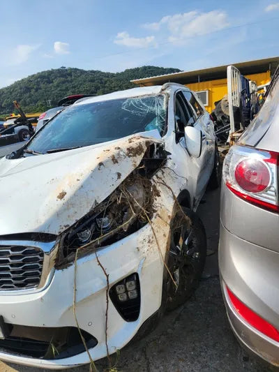 2019 Kia Sorento VIN: