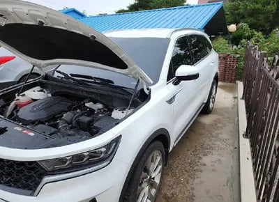 2021 Kia Sorento KNARM81BGMA008288 VIN:KNARM81BGMA008288