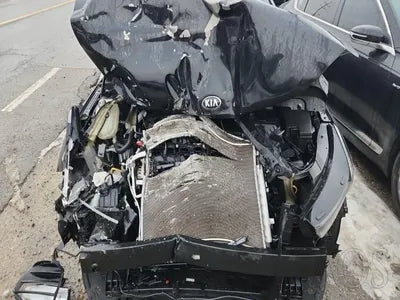 2020 Kia K5 KNAG541BBLA008278 VIN:KNAG541BBLA008278