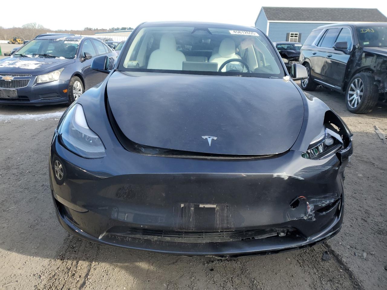 2024 TESLA MODEL Y  VIN:7SAYGDED1RF025136