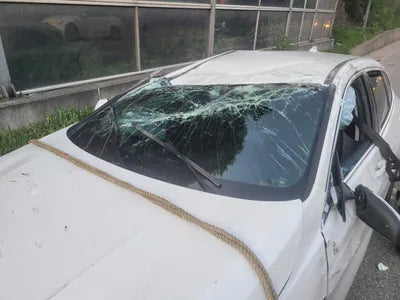 2022 BMW 120 WBA7L7104N7K56960 VIN:WBA7L7104N7K56960