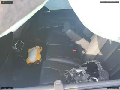 2019 Hyundai Santa FE KMHS381ABKU177949 VIN:KMHS381ABKU177949