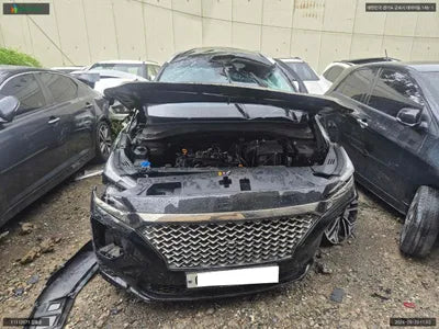 2019 Hyundai Santa FE KMHS381BBKU142921 VIN:KMHS381BBKU142921