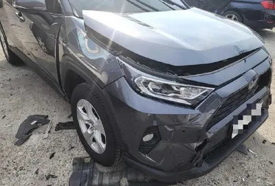 2019 Toyota RAV4 VIN: