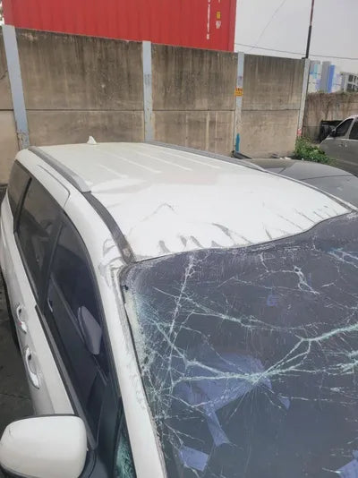 2017 Kia Carnival KNAMB81ABJS383010 VIN:KNAMB81ABJS383010