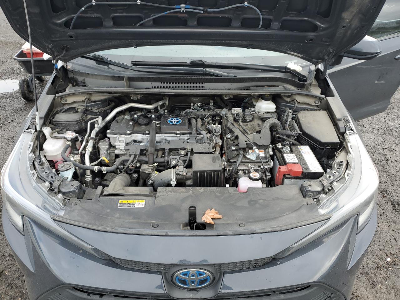 2023 TOYOTA COROLLA LE VIN:JTDBDMHEXP3003324