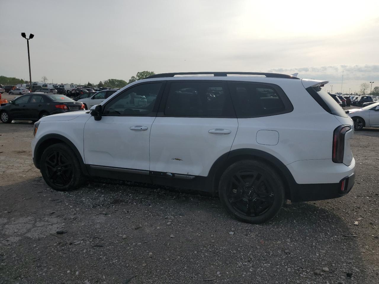 2023 KIA TELLURIDE EX VIN:5XYP3DGC2PG346391