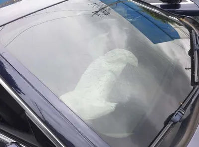 2015 BMW 528 WBA5A7107FD816227 VIN:WBA5A7107FD816227