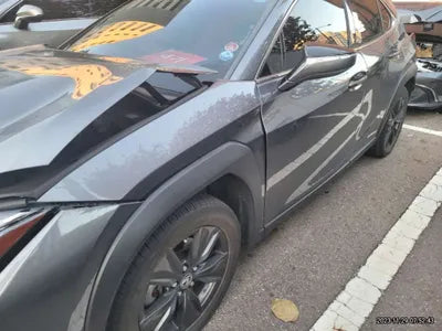 2019 Lexus UX 250 JTHY6JBHXK2026749 VIN:JTHY6JBHXK2026749