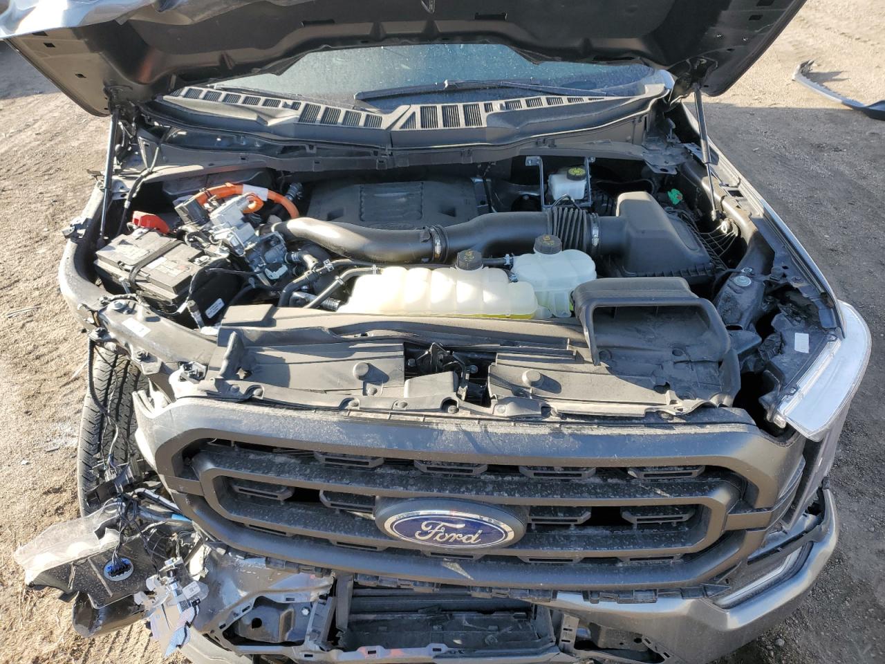 2023 FORD F150 SUPERCREW VIN:1FTFW1ED5PFD06984