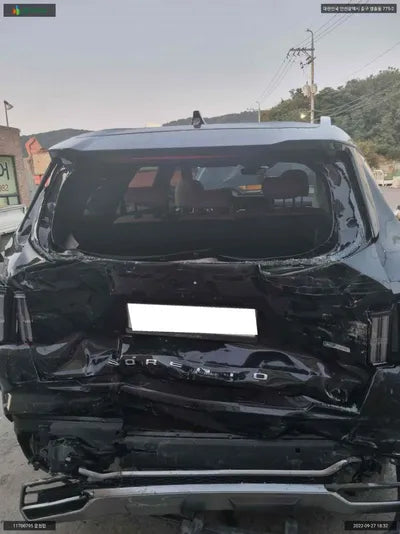 2020 Kia Sorento KNARH81GBMA000910 VIN:KNARH81GBMA000910