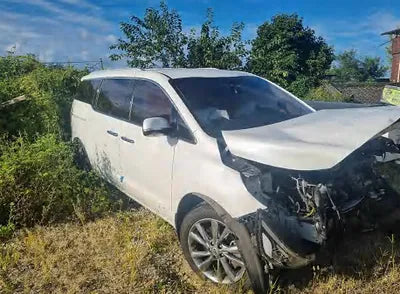 2019 Kia Carnival KNAME81ABKS521855 VIN:KNAME81ABKS521855