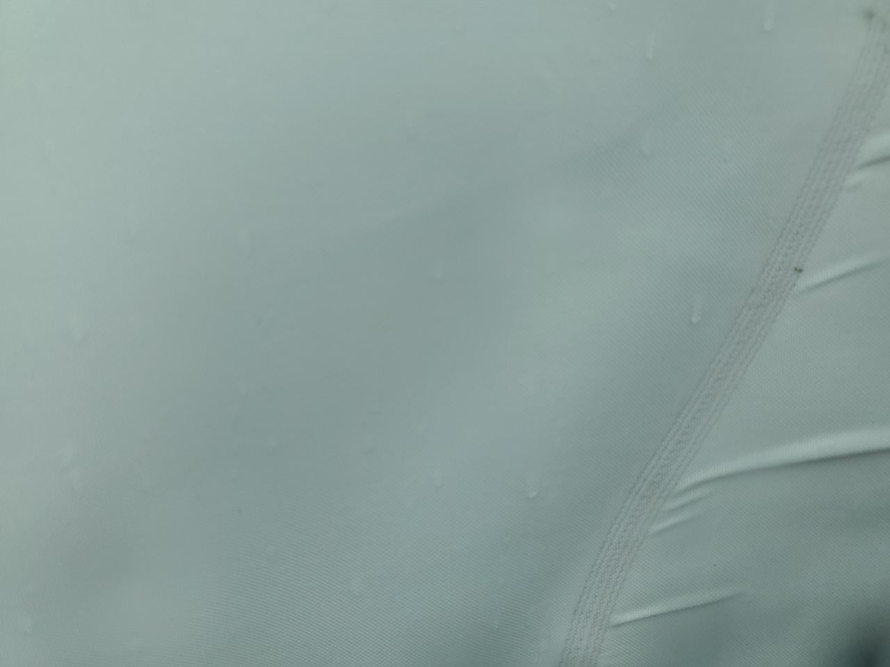 2023 TESLA MODEL Y  VIN:7SAYGDEFXPF698487