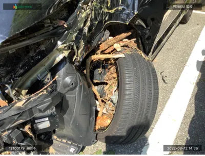 2021 Kia K5 KNAG3412BNA170214 VIN:KNAG3412BNA170214