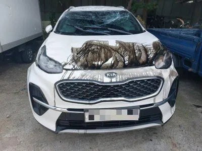 2020 Kia Sportage VIN: