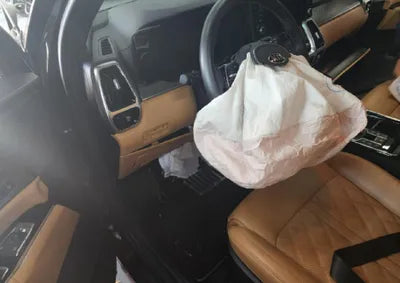 2021 Kia Sorento KNARK81BGMA015150 VIN:KNARK81BGMA015150