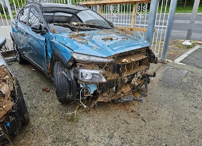 2019 Hyundai Kona KMHK7815GKU291067 VIN:KMHK7815GKU291067