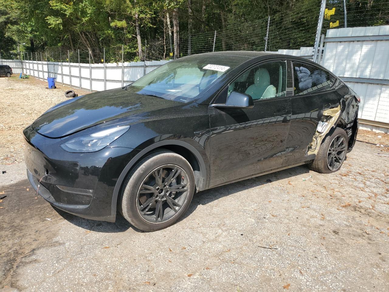 2023 TESLA MODEL Y  VIN:7SAYGDEE2PF799661