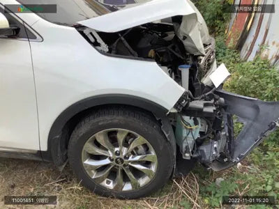 2019 Kia Sorento KNAPG81ABLA555610 VIN:KNAPG81ABLA555610