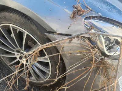 2016 Mercedes-Benz S 500 WDDUG8FB3GA280396 VIN:WDDUG8FB3GA280396