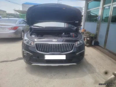 2020 Kia Carnival KNAME811BLS617207 VIN:KNAME811BLS617207