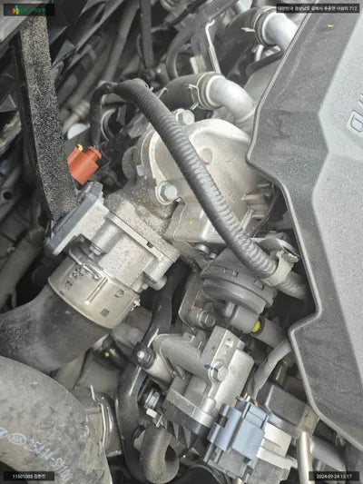 2020 Kia Carnival KNANC81BBMS038807 VIN:KNANC81BBMS038807